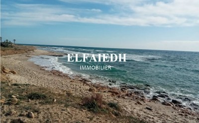 Terrain La plage T548