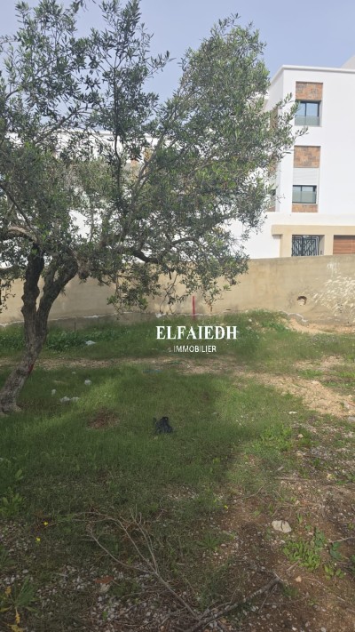 Terrain Blue  T1001-2