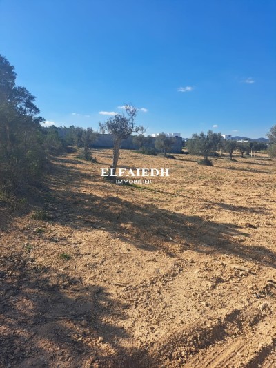 Terrain Estelle T542-1