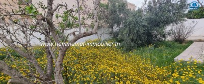 L800 Appartement Dida-4