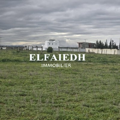 Terrain Milon V488-1