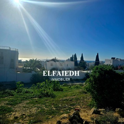 Terrain la rose T8859