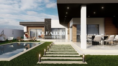 Villa le roi V375-11