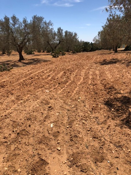 Vente Immédiate - Terrain de 500m² ou 1000m² à Besbesia, Hammamet Sud-0